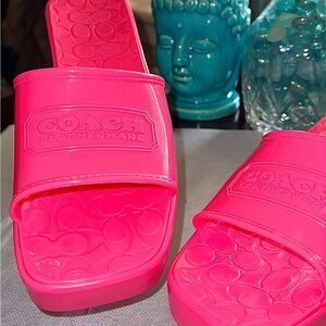 Pink Coach Platform Jelly Block Heel Open Toe Rubber Sandals